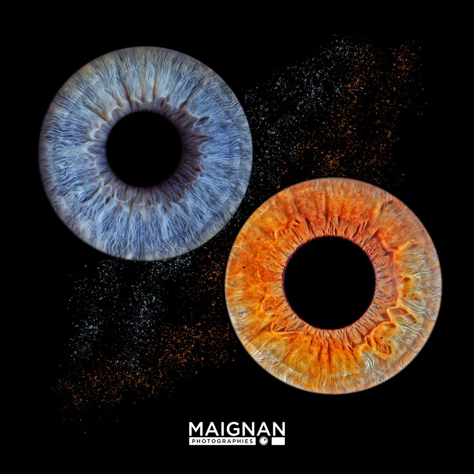 Photo d'Iris Maignan photographies